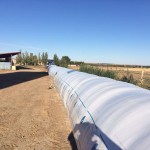 12091194_1619523414976134_4767138874479110117_o - copia