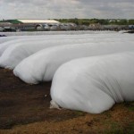 12096053_1619523478309461_6446359838476167475_n - copia