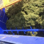 13240498_1023236611099236_3333981079300453790_n