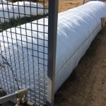 13254026_1023236557765908_2593414614320033336_n