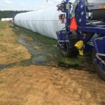 13339710_1692116144383527_4727949336117281383_n