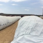 14100444_1729872530607888_8179716288417133893_n