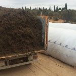 14117822_1729872457274562_3885981856744579291_n