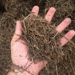 14192016_1729872437274564_7024912107665500999_n