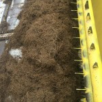 14192510_1729872417274566_1901641162676836524_n