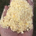 14681893_1752995691628905_7373881339950641673_n