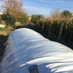 14690991_1752995851628889_5335264038318335085_n